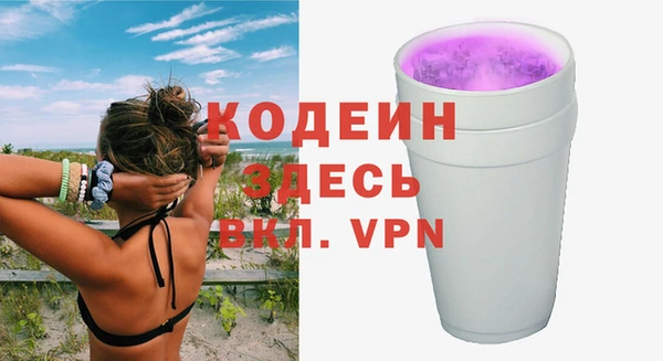 хмурый Алексин