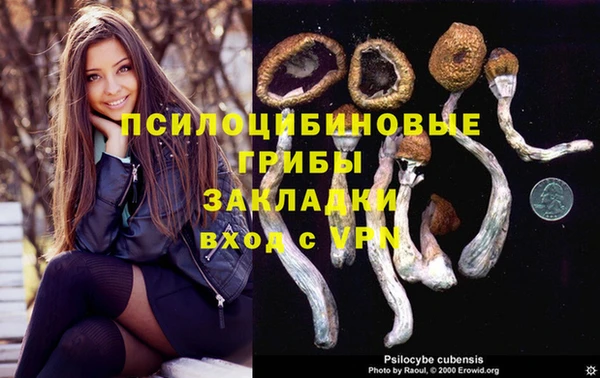 а пвп мука Абаза