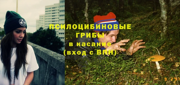 СК Алексеевка
