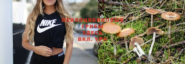 трава Елизово