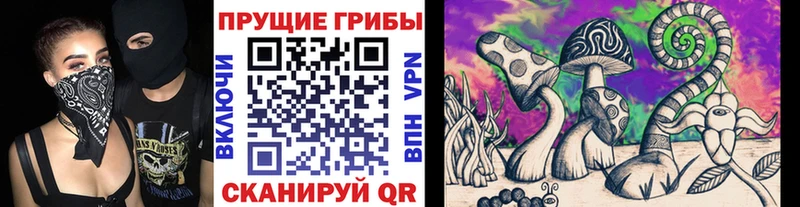 это Telegram  Татарск  Псилоцибиновые грибы Psilocybe 